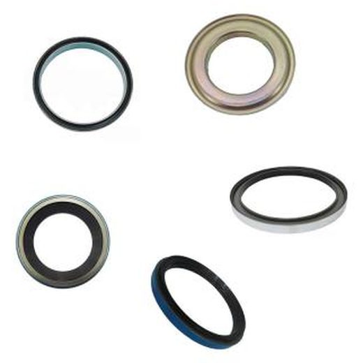 Bearing & Oil Seal Kit